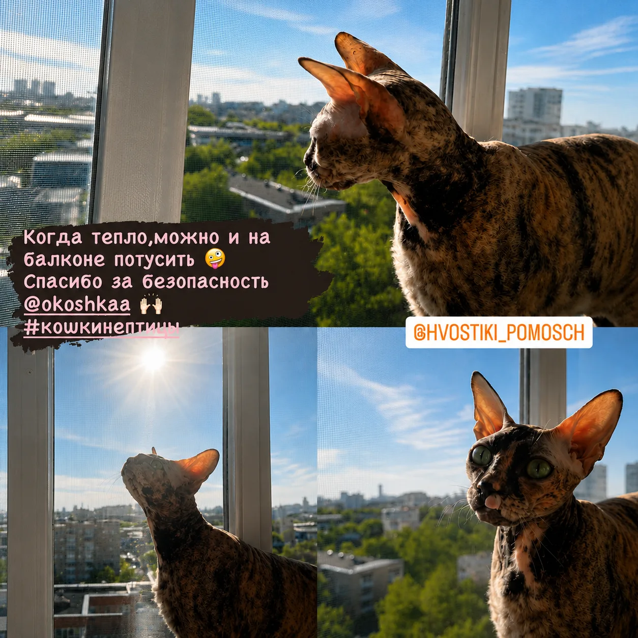 Отзыв клиента ОКОШКА