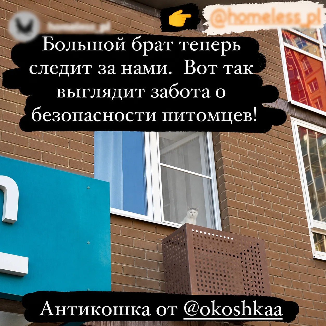Отзыв клиента ОКОШКА